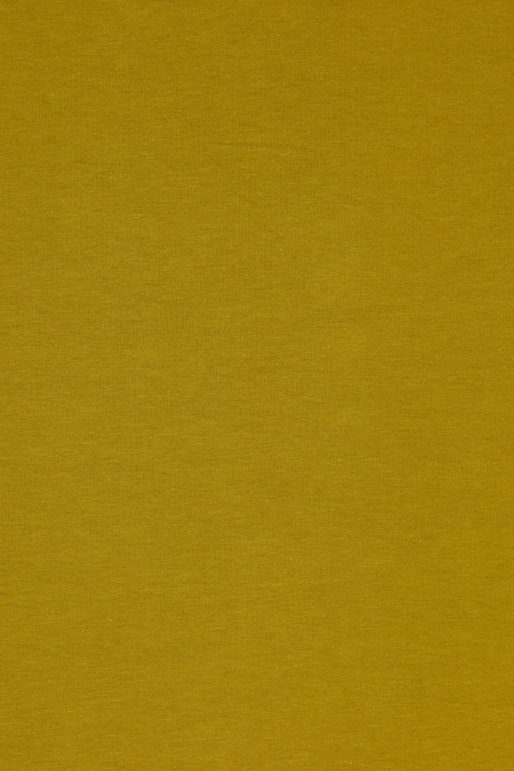 Dirty Martini Organic Cotton Rib