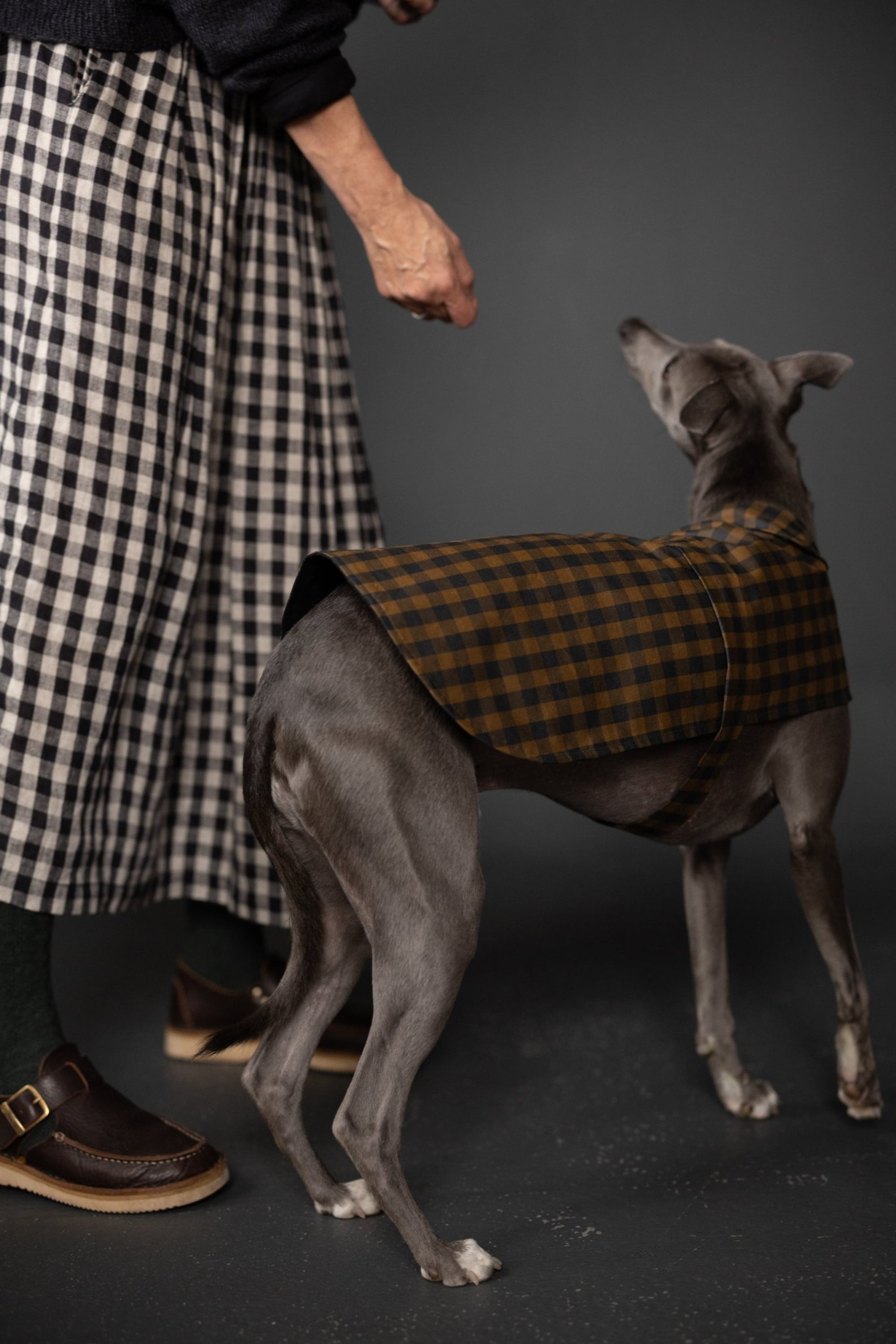 The Barka Dog Coat