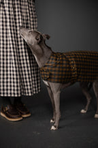 The Barka Dog Coat