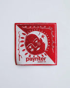 The Paynter