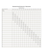 Cashmerette Somerville Sports Bra PDF pattern